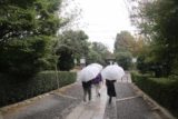 Kyoto_111_10242016 - It started raining pretty hard again when we left the Ryoan-ji Temple
