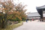 Kyoto_172_10242016 - Some mild koyo seen during our garden tour of the Nijo Castle complex