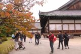 Kyoto_179_10242016 - Lots of visitors enjoying the exterior of the Nijojo as well as the gardens surrounding it
