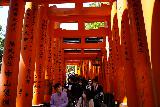 Kyoto_190_04082023 - Looking back at kanji written on the columns of the torii gate rows within the Fushimi Shrine