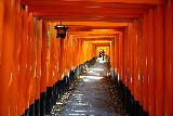 Kyoto_207_04082023 - Looking through another corridor of torii with no kanji facing this side at the Fushimi Shrine