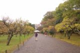 Kyoto_254_10242016 - This part of the garden was wider and didn't have as much to see nor did it offer much shelter from the rain
