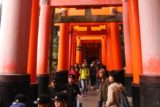 Kyoto_325_10242016 - Passing through the familiar torii tunnels at Fushimi Inari Shrine, but this time it was busy