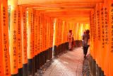 Kyoto_336_10242016 - Passing through the familiar torii tunnels of the Fushimi Inari Shrine