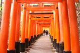 Kyoto_346_10242016 - Finally back at the impressive Fushimi Inari Shrine in Kyoto, but this time it was way crowded