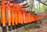 Kyoto_355_10242016 - Given how crowded it was at the Fushimi Inari Shrine, I decided to try taking photos differently of these torii tunnels
