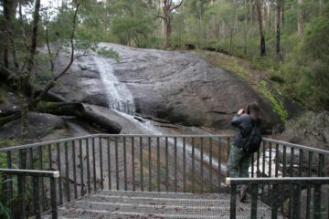 When Julie and I think of Lane-Poole Falls, what comes to mind was a very relaxing experience punctuated with tall karri trees, a relatively easy hike, and a pleasant 10m waterfall at the end of...