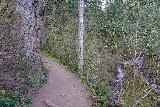 Latourell_Falls_070_04062021 - The Upper Latourell Falls Trail continuing alongside Latourell Creek