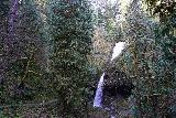 Latourell_Falls_092_04062021 - My first look at the Upper Latourell Falls