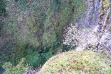 Latourell_Falls_175_04062021 - Looking down at the brink of Latourell Falls from the precarious knob