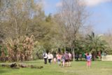 Laura_Plantation_144_03142016 - Walking across the grassy area as our Laura Plantation tour was nearing its end