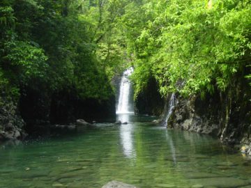 Wainibau Falls is a very beautiful waterfall at the end of the scenic 5km Lavena Coastal Walk. There is actually a second waterfall adjacent to the main falls, but you'll have to...