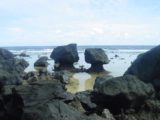 Lavena_Coastal_Walk_026_12312005 - The Pedestal Rocks (Vatuni'epa)
