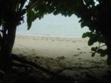 Lavena_Coastal_Walk_032_12312005 - An inviting beach where our guide said they filmed the Blue Lagoon