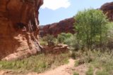 Left_Hand_117_04202017 - Heading back on the drier part of Mill Creek Canyon in Moab