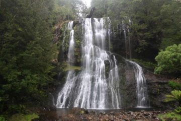 Champagne Falls and Bridal Veil Falls were a pair of attractive waterfalls that we combined into a single excursion that began and ended at the Lemonthyme Lodge Wilderness Retreat.  Although each...