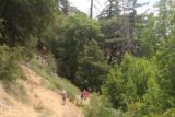 Lewis_Falls_17_168_06102017 - The family returning on the Soldier Creek Falls excursion in June 2017 as the trail was getting progressively easier