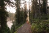 Lewis_Falls_Yellowstone_027_08112017 - Looking back at the seemingly new Lewis Falls Trail during our August 2017 visit