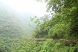 Liangshan_Waterfall_061_10282016 - Looking ahead at more of the long wooden-railed Liangshan Waterfall Trail with steam still obscuring the neighboring mountaintops