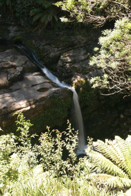 Liffey_Falls_012_11242006