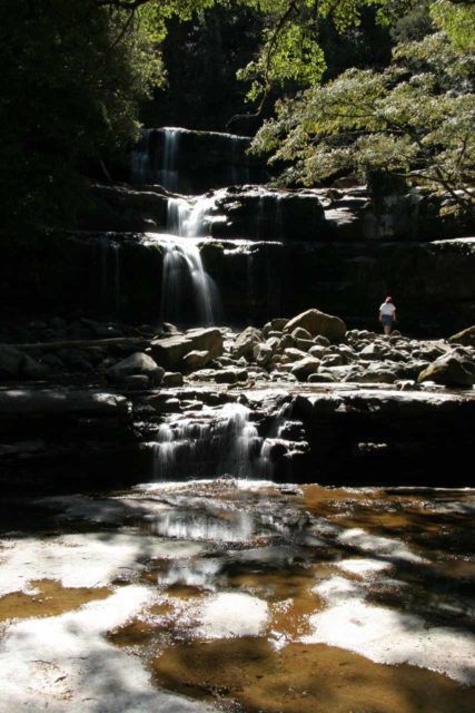 Liffey_Falls_034_11242006