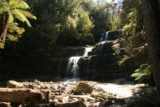 Liffey_Falls_048_11242006 - The last of the four main waterfalls of Liffey Falls