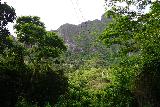 Likeke_Falls_023_11242021 - Looking beneath the power pylon towards the Ko'olau Mountains near the Pali Lookout