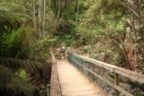 Lilydale_Falls_17_011_11232017 - Julie crossing the bridge over the Second River to continue the walk on the northern bank of the Second River during our November 2017 visit