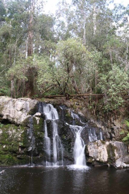 Lilydale_Falls_17_050_11232017