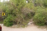 Lisa_Falls_004_05262017 - This was the path that I took to get up to Lisa Falls from the small pullout on the left side of Little Cottonwood Canyon Road
