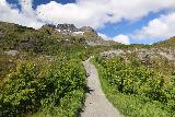 Lofoten_261_07032019 - The trail leading closer to the granite climb alongside the waterfall on Studalselva