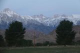 Lone_Pine_17_056_04092017 - Looking right towards Mt Whitney between trees at dawn from the field next to Best Western Plus Lone Pine