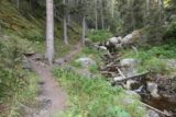 Lost_Creek_Falls_013_08102017 - The trail following alongside the tranquil Lost Creek