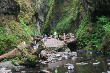 Lower_Oneonta_Falls_002_08212009