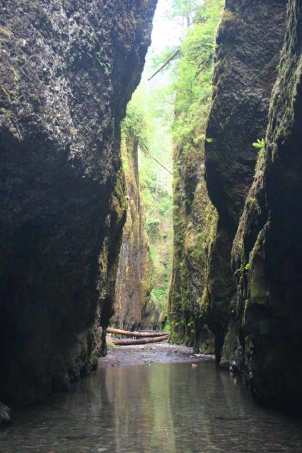 Lower_Oneonta_Falls_010_08212009 - Narrow Gorge