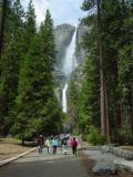 Lower_Yosemite_Falls_006_04302005 - On the paved walk to Yosemite Falls