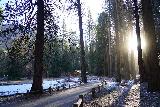 Lower_Yosemite_Falls_Loop_021_02252022 - Looking towards the morning sun in the frigid morning
