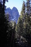 Lower_Yosemite_Falls_Loop_108_02252022 - Looking towards Sentinel Rock peeking above the trees within the loop walk around the Lower Yosemite Falls