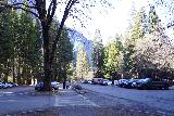 Lower_Yosemite_Falls_Loop_122_02252022 - Going back towards the parking area for the Yosemite Lodge