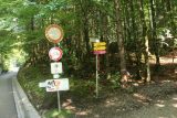 Ludwigs_Castles_507_06252018 - Making it all the way down to the rejoining of the main road to Neuschwanstein Castle after having descended the length of the bike path
