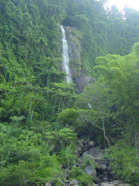 Luva_016_12262005