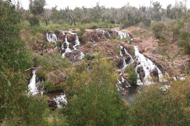 MacKenzie_Falls_17_019_11142017