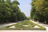 Madrid_386_06032015 - Looking towards some kind of hedge pattern along a long walkway in Retiro Park