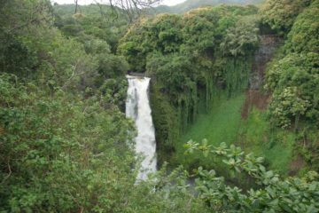 The 184ft Makahiku Falls is one of the more impressive waterfalls along the Pipiwai Trail in Ohe'o Gulch. Making it even more alluring is the swimming pool at the top of the falls.