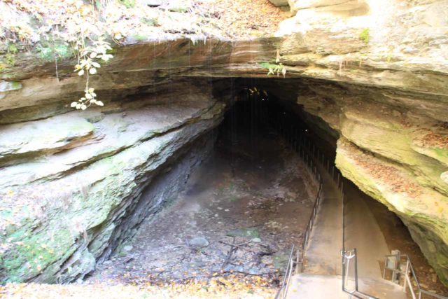 Mammoth_Caves_077_20121023 - One of the Mammoth Cave Waterfalls was found at the mouth of the historical entrance to the Mammoth Cave