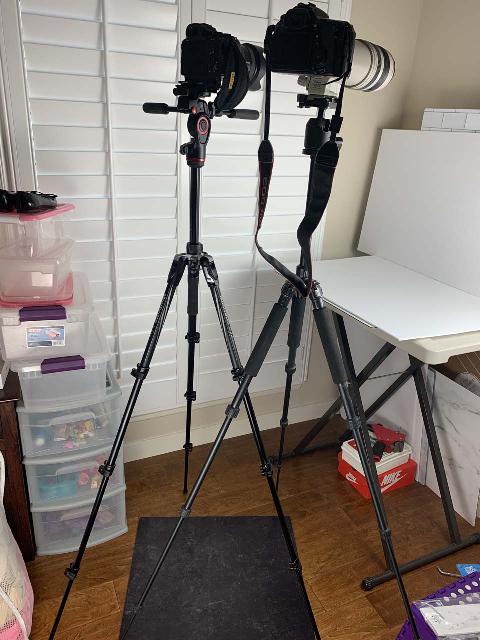 Comparing my fully-extended Manfrotto BeFree 3-Way Live Advanced Tripod to my fully-extended Giottos GB 1140 Tripod with Manfrotto 486 RC2 ball head