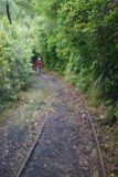 Mangatini_Falls_038_12292009 - railroad tracks on the walking track