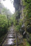 Mangatini_Falls_059_12292009 - Still walking along the railroad that was the Charming Creek Walkway