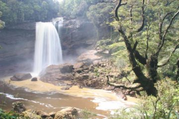 Mangatini Falls was definitely our favourite waterfall of the ones that we didn't get to see on our first trip to New Zealand in 2004 but we were able to see on our second go in 2009-2010.  While...
