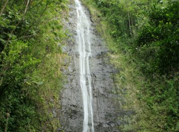 Manoa Falls is a very popular waterfall found near the busy Honolulu/Waikiki area just minutes further inland from the University of Hawaii.  This thin 55ft waterfall used to be...